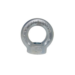 Zinc Plated Lifting Eye Nuts - DIN 582